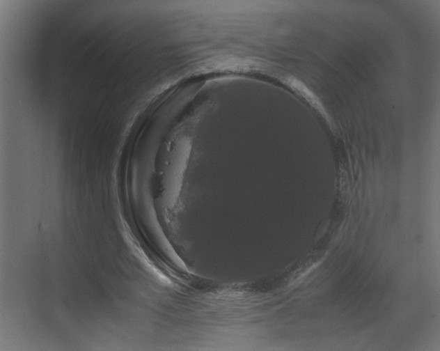 X0000070170581200605261158