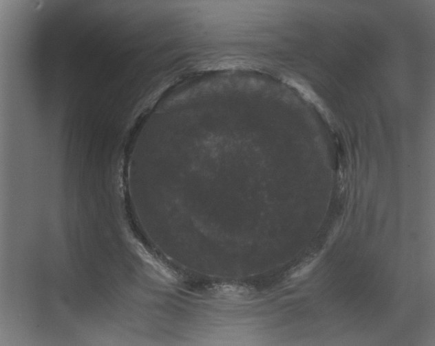 X0000070170585200605261158