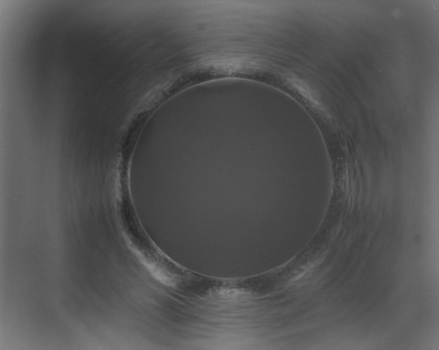 X0000070170590200605261158