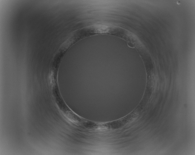 X0000070170598200605261158