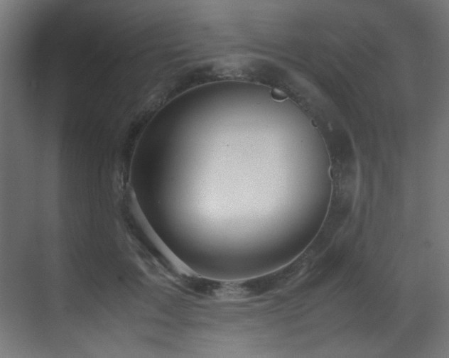 X0000070170603200605261158