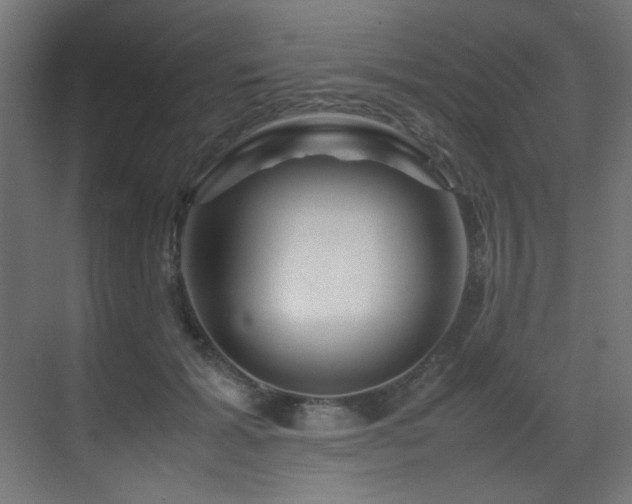 X0000070170605200605261158