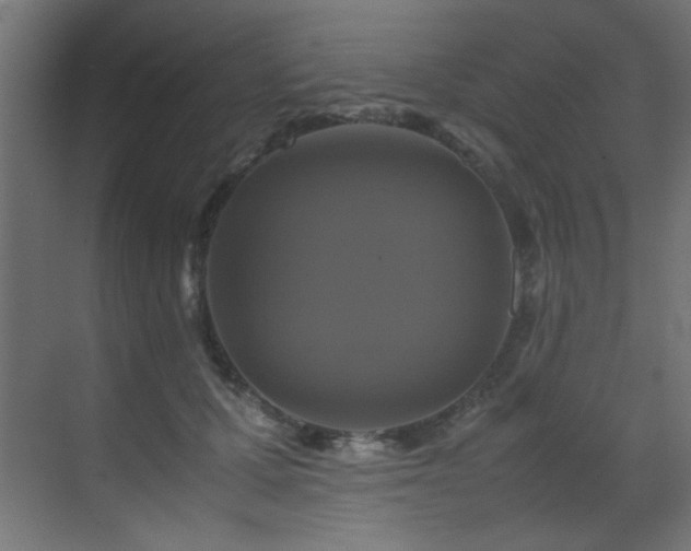 X0000070170607200605261157