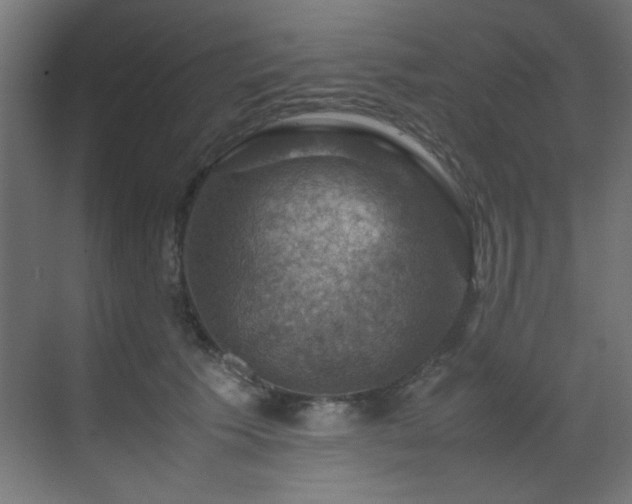 X0000070170609200605261157