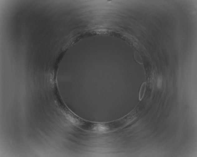 X0000070170610200605261157