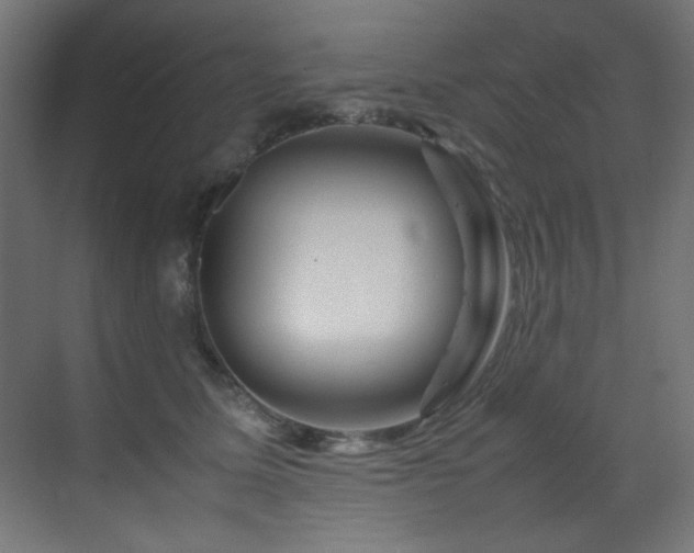 X0000070170611200605261157