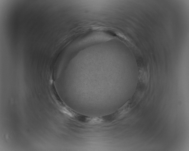 X0000070170621200605261157