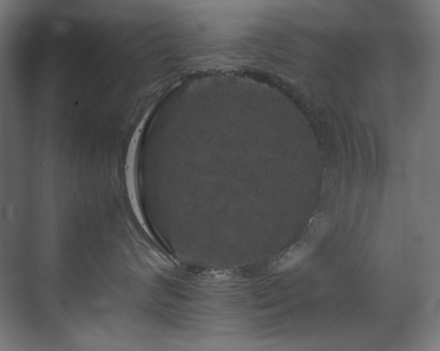 X0000070170624200605261157