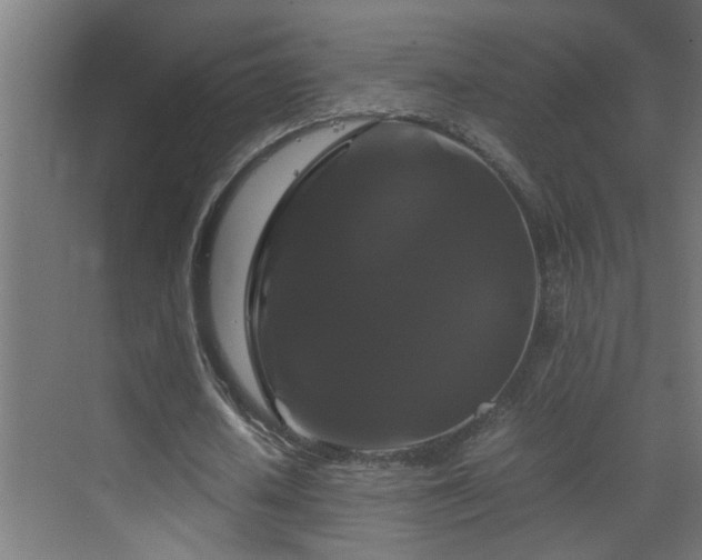 X0000070170626200605261156