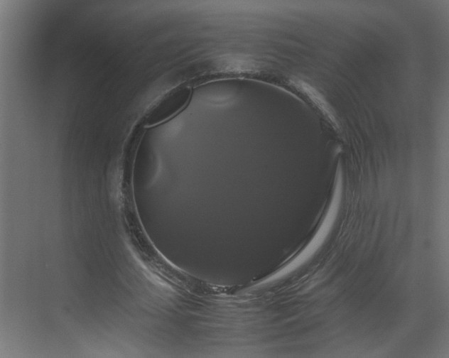 X0000070170627200605261156