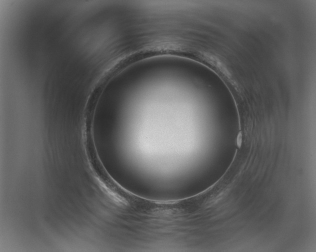 X0000070170629200605261156