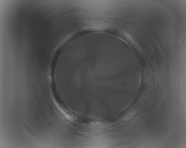 X0000070170634200605261157