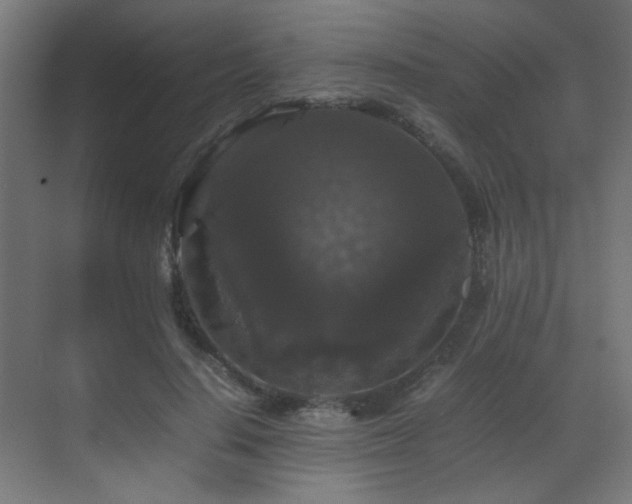 X0000070170644200605261157