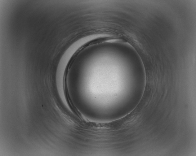X0000070170645200605261157