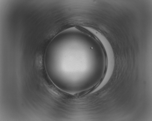 X0000070170646200605261157