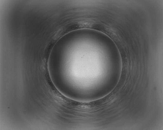 X0000070170649200605261157