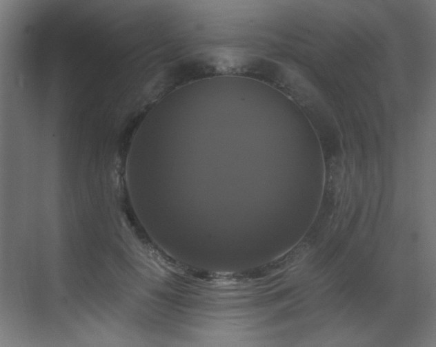 X0000070170650200605261157