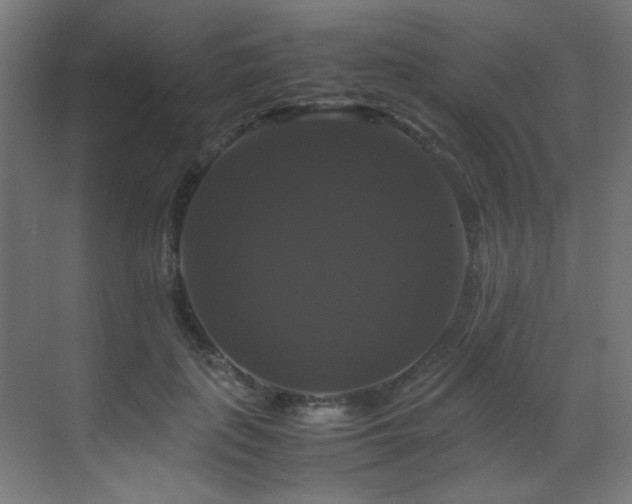 X0000070170651200605261157