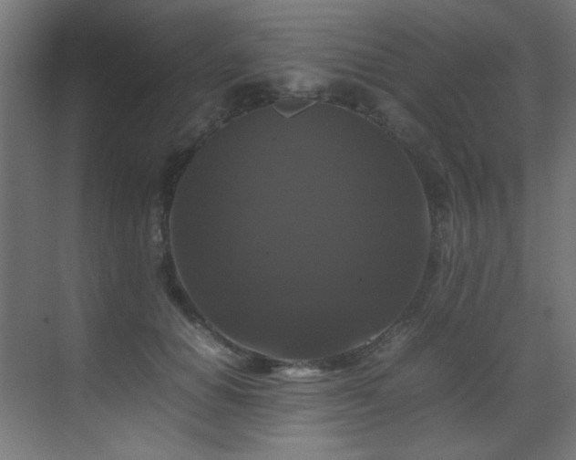 X0000070170654200605261157
