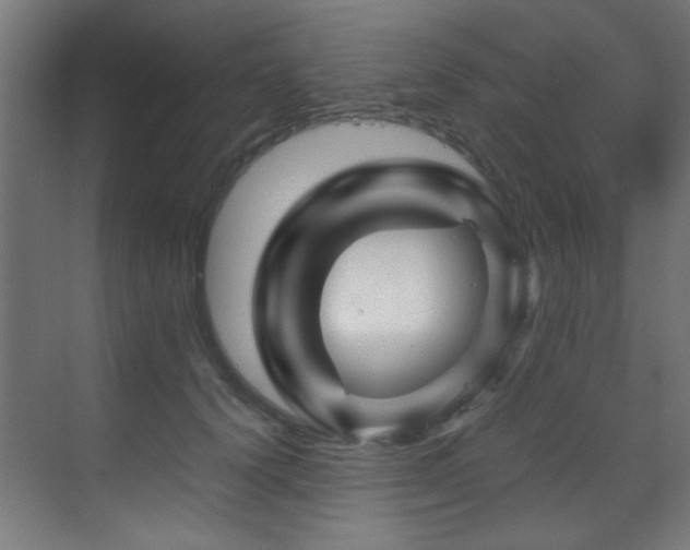 X0000070170656200605261157