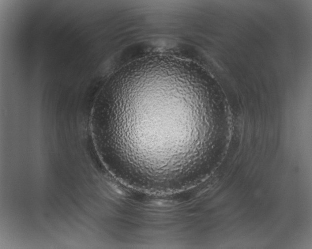X0000070170657200605261157