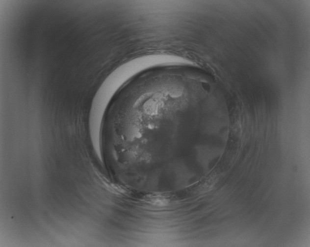 X0000070170658200605261157