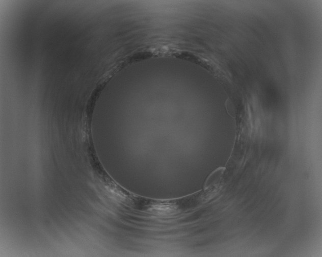 X0000070170659200605261157