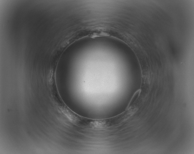X0000070170660200605261157
