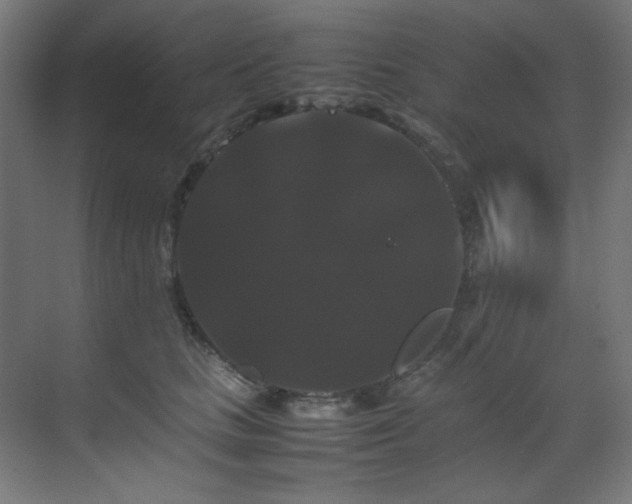 X0000070170661200605261157
