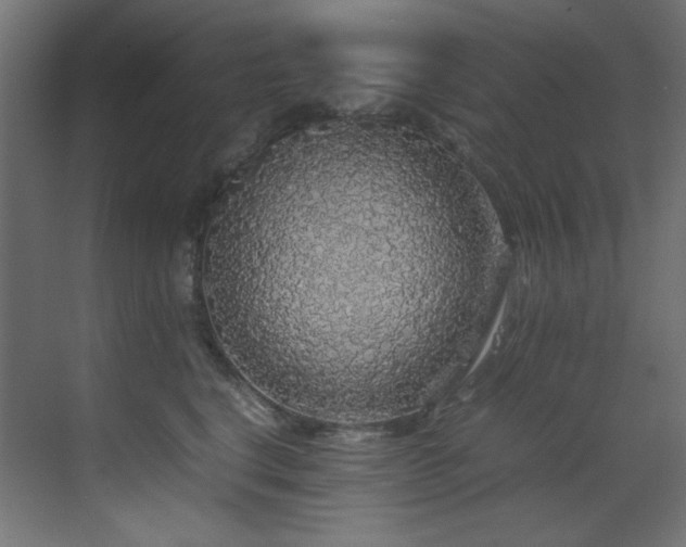 X0000070170664200605261157