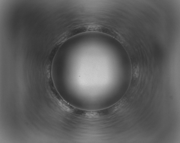 X0000070170666200605261157