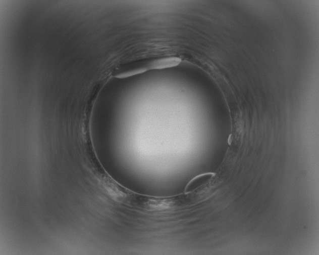 X0000070170667200605261157
