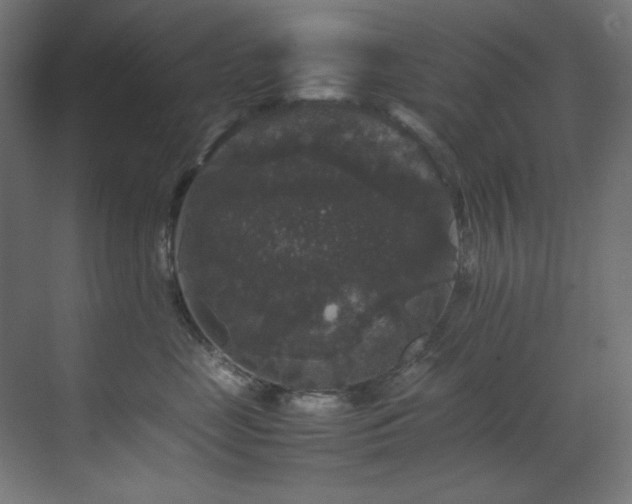 X0000070170669200605261157