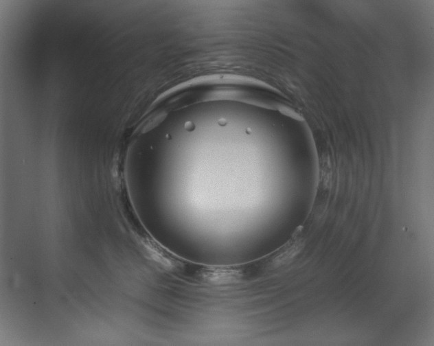 X0000070170670200605261157