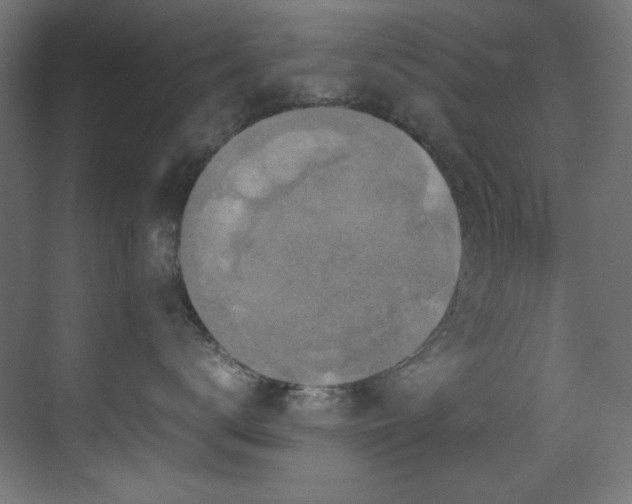X0000070170672200605261157