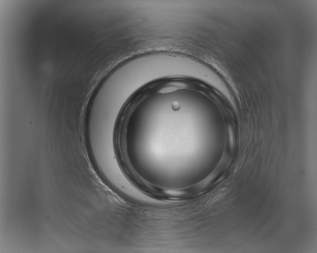 X0000070170673200605261156