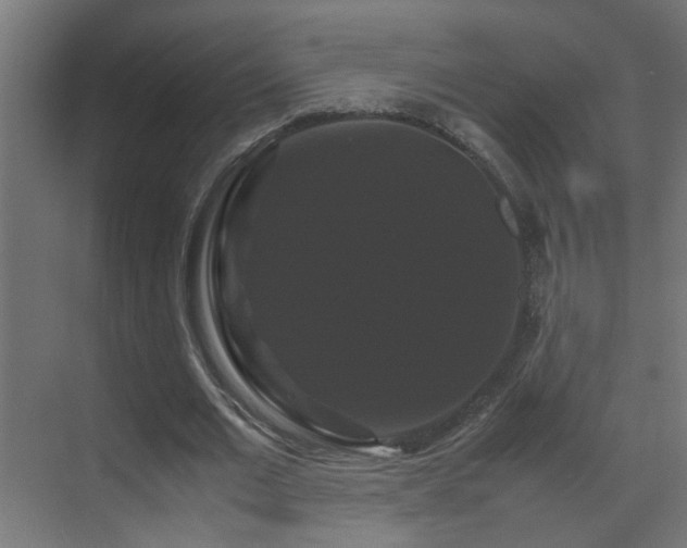 X0000070170677200605261156