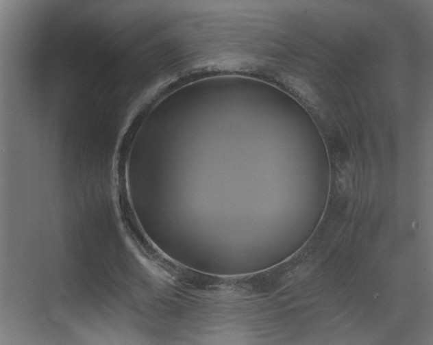 X0000070170678200605261156