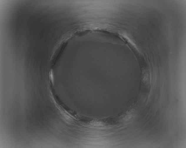 X0000070170685200605261156
