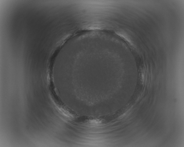 X0000070170692200605261156