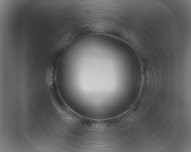 X0000070170694200605261156