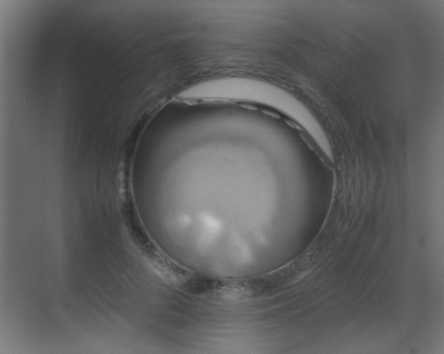 X0000070170696200605261156