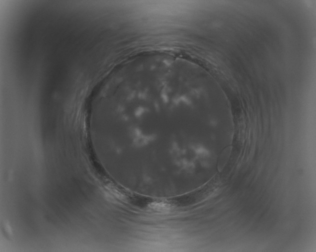X0000070170699200605261156