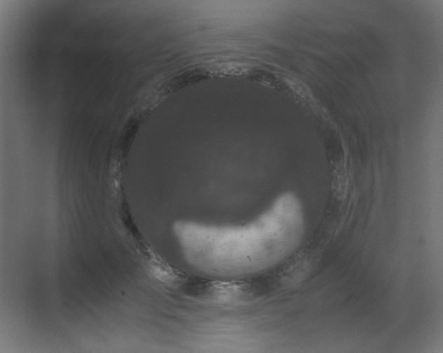 X0000070170701200605261156