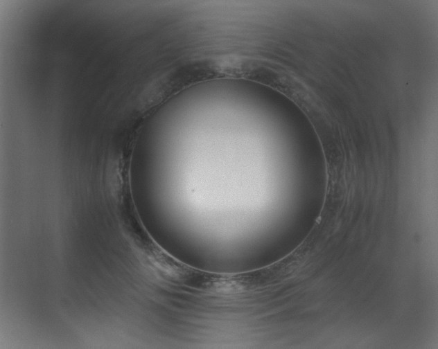 X0000070170702200605261156