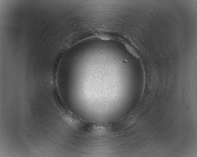 X0000070170706200605261156