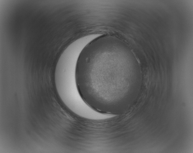X0000070170708200605261156