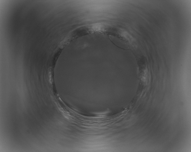 X0000070170715200605261156