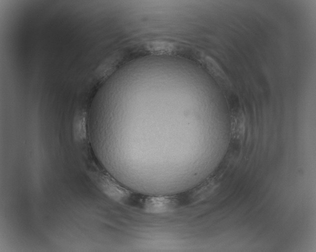 X0000070170717200605261156