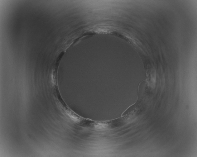X0000070170718200605261156